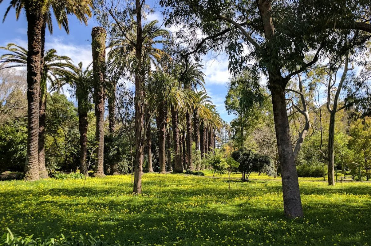 Tropical Botanical Garden, Portugal
